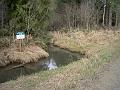 Riparian area
